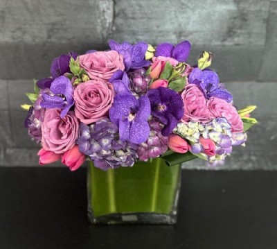 Purples